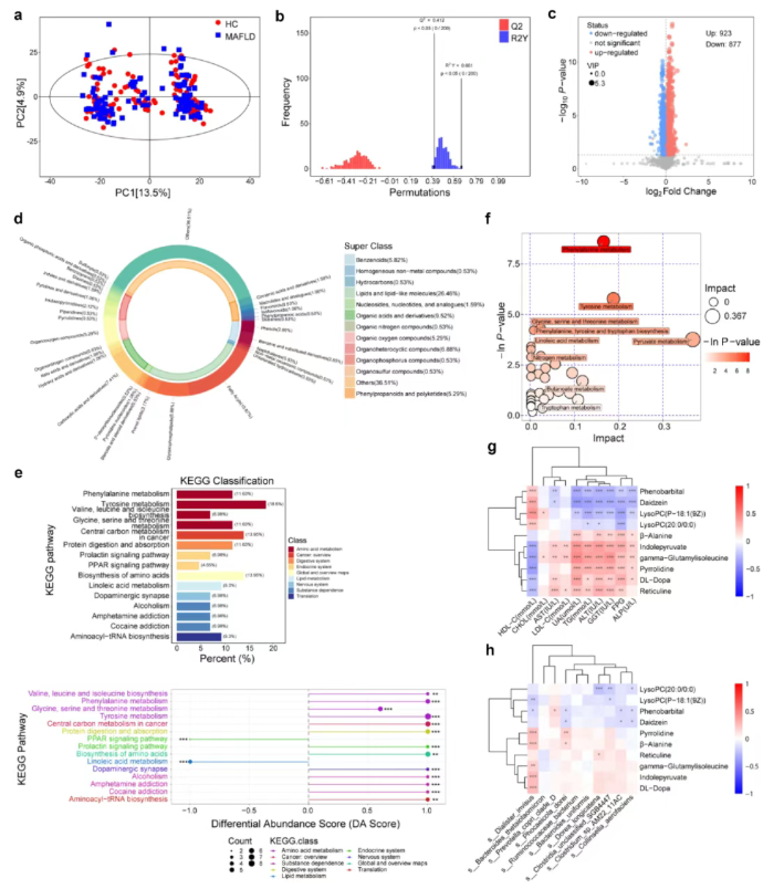 Gut Microbes (IF=12.2)｜海医二院白飞虎教授团队：解密单形拟杆菌代谢物HDA如何狙击代谢相关脂肪肝(图4)