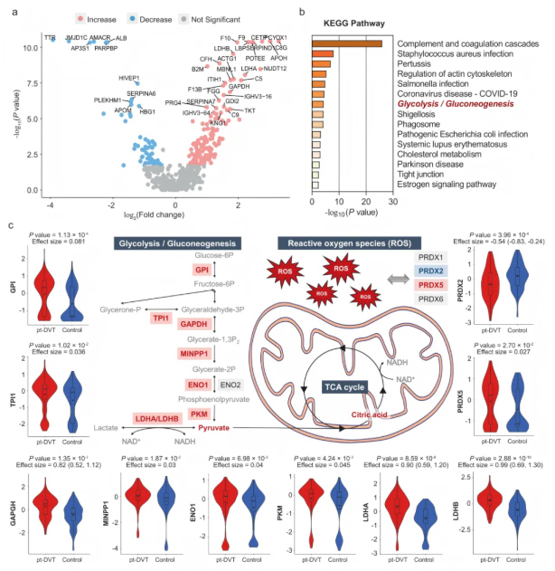 nature子刊 (IF=15.7)｜西安交大郭燕教授团队解析pt-DVT，9种代谢物panel赋能早诊，同步挖掘治疗关键靶点(图7)