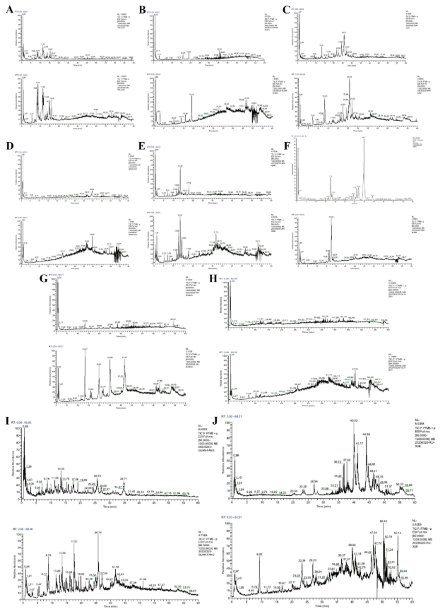 Phytomedicine (IF=8.3)｜中药复方再显神通！加味四妙勇安汤通过多组学整合策略揭示治疗急性冠脉综合征的新机制(图4)