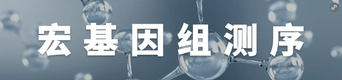 合作发文｜广东省医疗援藏专家李欣携手上海百趣再添力作！高原研究“五响炮”：中等海拔暴露对血糖稳态影响的持续解码(图1)
