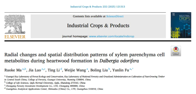 IF=6.2！广西大学符韵林教授研究团队解析海南黄花梨心材代谢规律，为红木培育提速提供可能(图1)