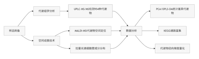 IF=6.2！广西大学符韵林教授研究团队解析海南黄花梨心材代谢规律，为红木培育提速提供可能(图2)