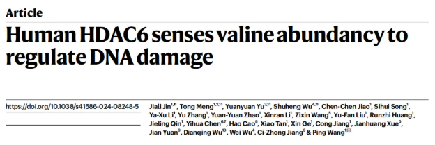 新一代代谢组学NGM系列高分文章——持续赋能，解码多领域代谢调控新机制(图2)