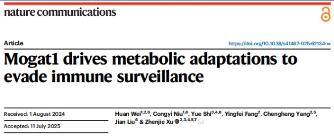 nat. commun. (IF=15.7)|西湖大学许圳杰团队:Mogat1 介导脂质代谢重编程驱动肿瘤免疫逃逸(图1) nat. commun. (IF=15.7)|西湖大学许圳杰团队:Mogat1 介导脂质代谢重编程驱动肿瘤免疫逃逸(图1)