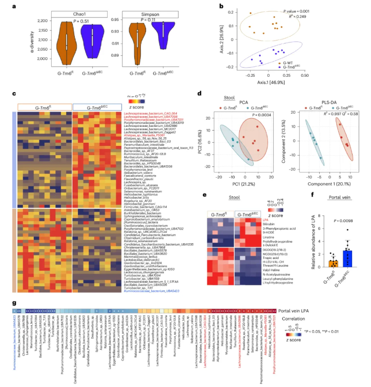 nat metab(IF=20.8) | 香港中文大学于君教授团队：肠道TM6SF2通过肠-肝轴预防代谢功能障碍相关的脂肪性肝炎(图7)