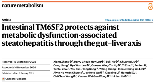 nat metab(IF=20.8) | 香港中文大学于君教授团队：肠道TM6SF2通过肠-肝轴预防代谢功能障碍相关的脂肪性肝炎(图1)