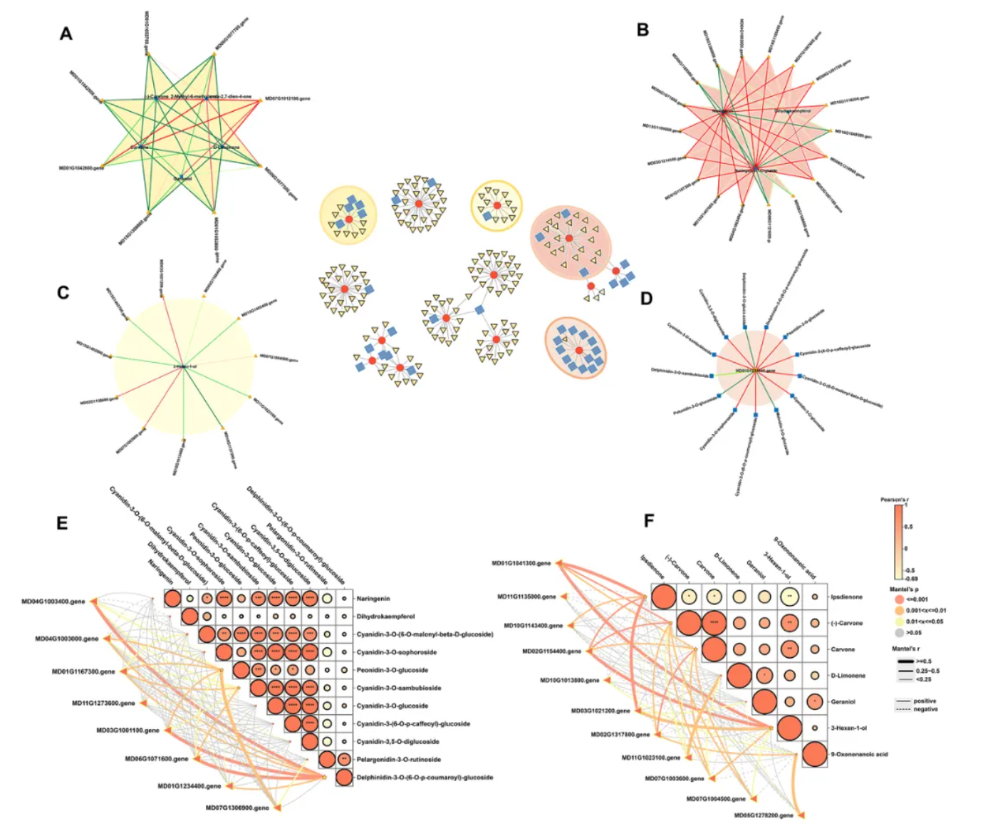 Food Chem.(IF=9.8)｜甘肃农大毛娟老师团队首次揭示‘蛇果’芽变中果实颜色深红化与香气减弱的交叉调控机制！(图5)