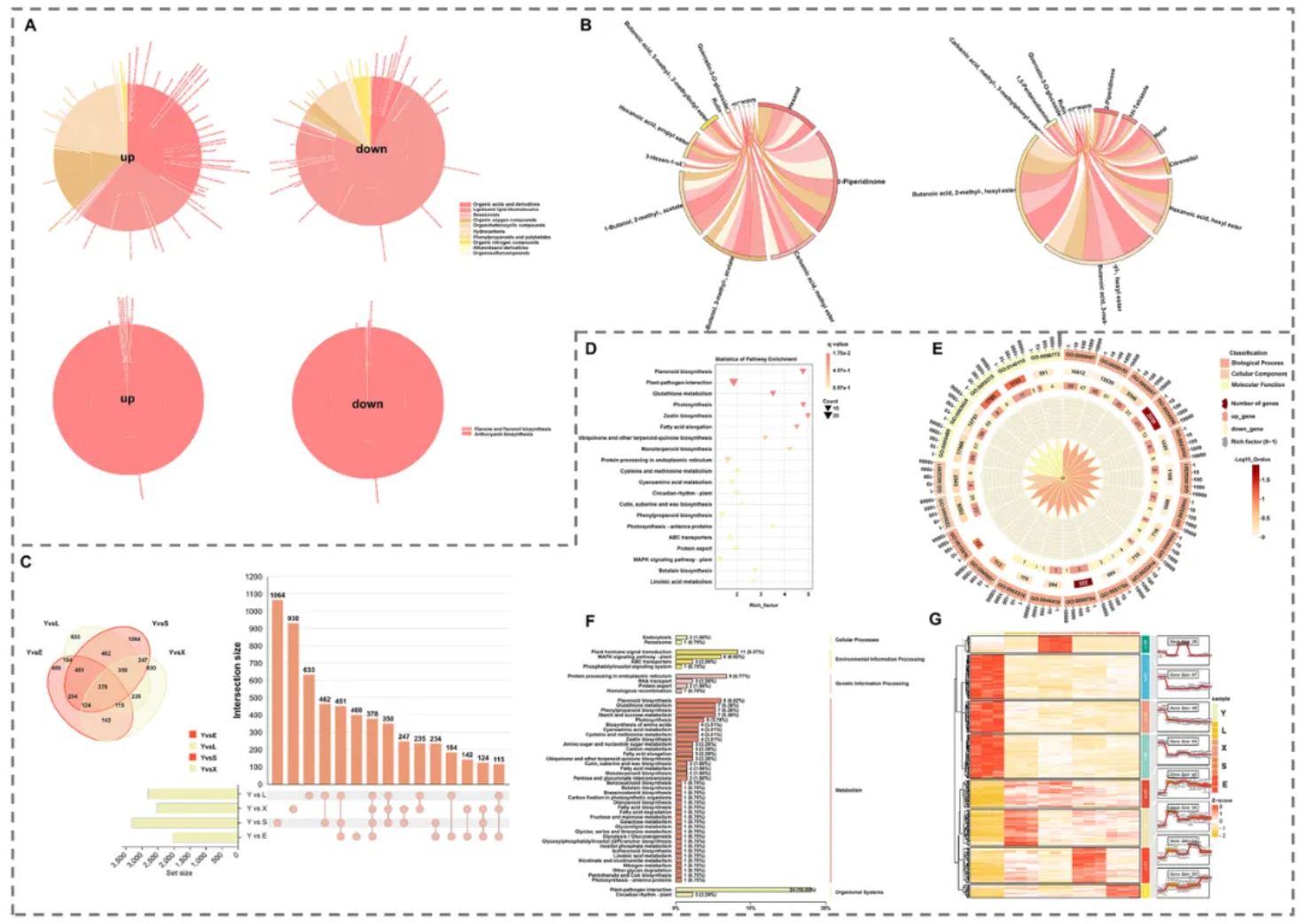 Food Chem.(IF=9.8)｜甘肃农大毛娟老师团队首次揭示‘蛇果’芽变中果实颜色深红化与香气减弱的交叉调控机制！(图3)