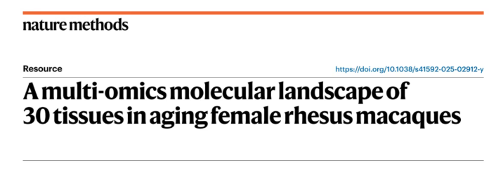 nature methods|中科院昆明动物研究所孔庆鹏团队携手920医院潘兴华团队绘恒河猴30组织多组学图谱，解人类衰老密码！(图1)