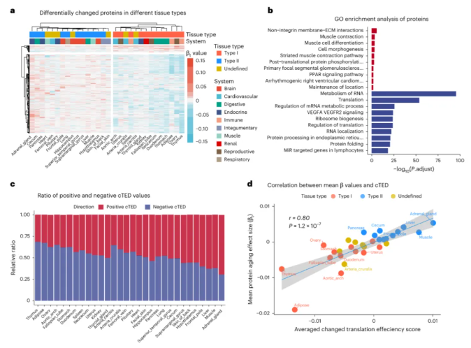 nature methods|中科院昆明动物研究所孔庆鹏团队携手920医院潘兴华团队绘恒河猴30组织多组学图谱，解人类衰老密码！(图7)