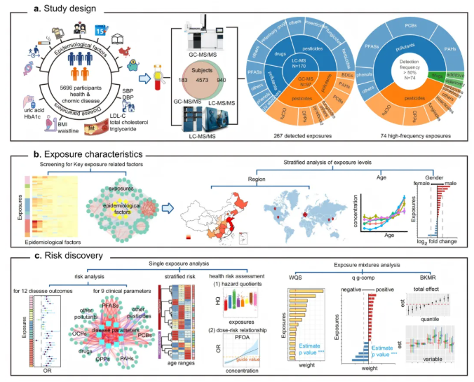 nature子刊 (IF=15.7)｜血清暴露组图谱新发现：5696 人研究解析环境化学物暴露与中国人群慢性病风险的关联(图2)