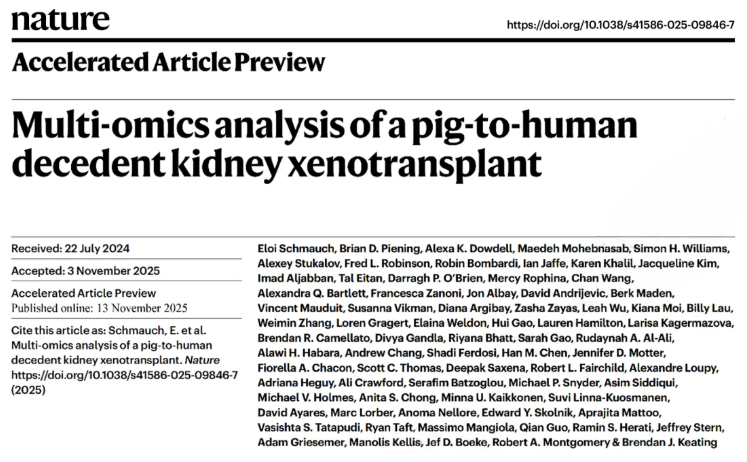 nature (IF=48.5)|重磅突破!首次绘制猪肾异种移植人体61天免疫变化“全景路线图”(图1) nature (IF=48.5)|重磅突破!首次绘制猪肾异种移植人体61天免疫变化“全景路线图”(图1)