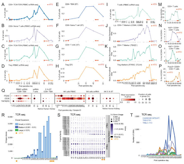 nature (IF=48.5)|重磅突破!首次绘制猪肾异种移植人体61天免疫变化“全景路线图”(图5) nature (IF=48.5)|重磅突破!首次绘制猪肾异种移植人体61天免疫变化“全景路线图”(图5)