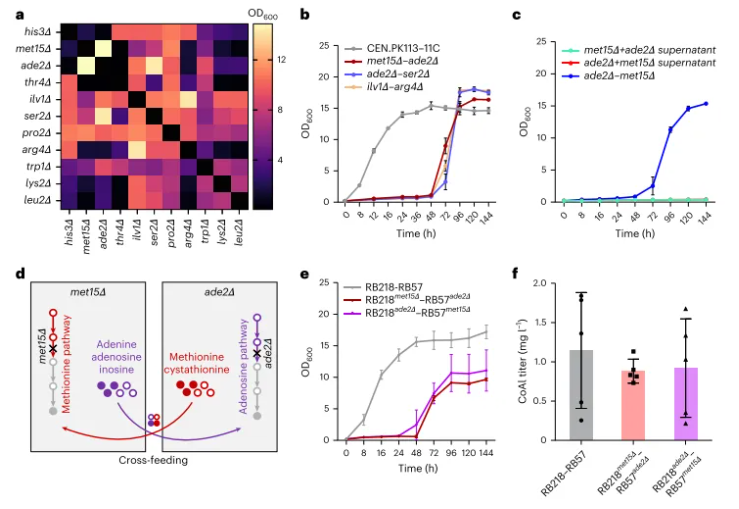 nature子刊(IF=13.7)|海军军医大学张磊/陈万生联合大连化物所周雍进团队设计酵母共生联合体,实现木脂素的从头生物合成(图5) nature子刊(IF=13.7)|海军军医大学张磊/陈万生联合大连化物所周雍进团队设计酵母共生联合体,实现木脂素的从头生物合成(图5)
