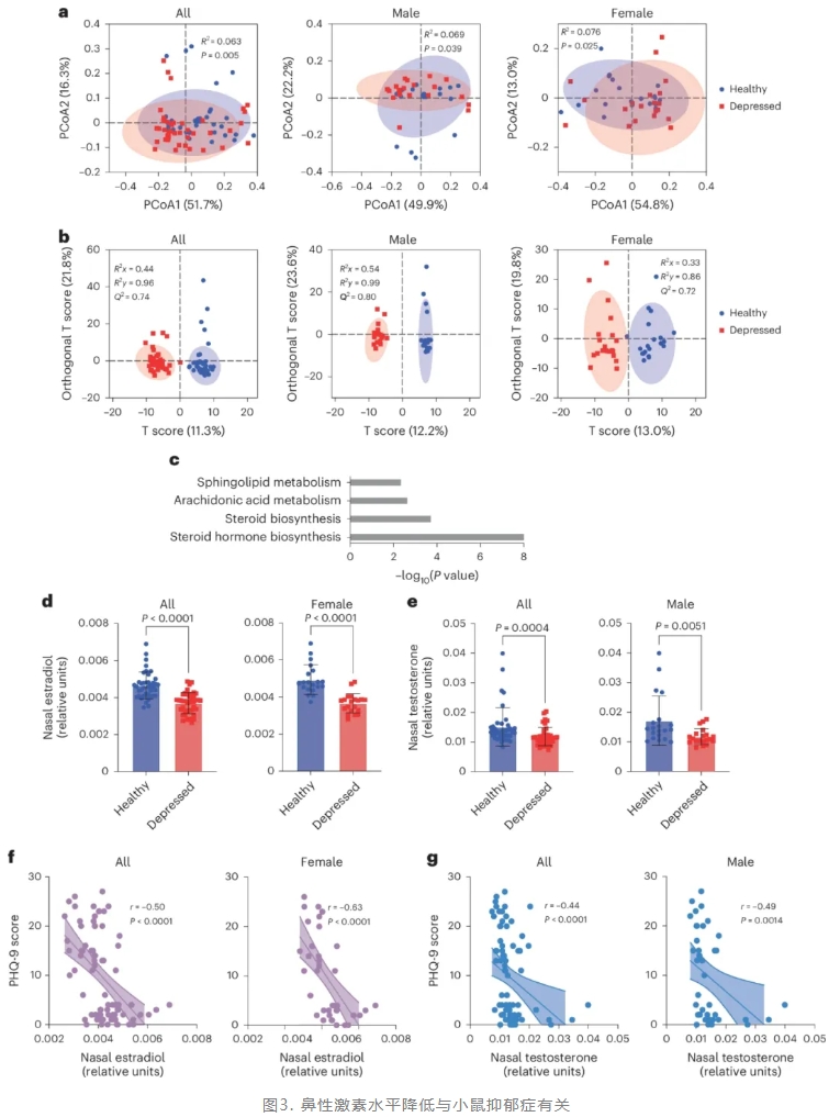 nature子刊 (IF=19.4)|交大医学院附属仁济医院李敏团队:鼻腔金葡菌是抑郁“隐形推手”?hsd12酶紊乱神经递质(图4) nature子刊 (IF=19.4)|交大医学院附属仁济医院李敏团队:鼻腔金葡菌是抑郁“隐形推手”?hsd12酶紊乱神经递质(图4)