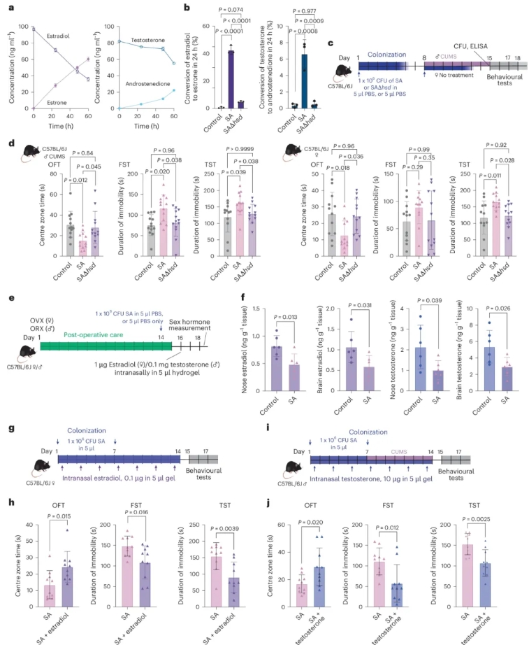nature子刊 (IF=19.4)|交大医学院附属仁济医院李敏团队:鼻腔金葡菌是抑郁“隐形推手”?hsd12酶紊乱神经递质(图7) nature子刊 (IF=19.4)|交大医学院附属仁济医院李敏团队:鼻腔金葡菌是抑郁“隐形推手”?hsd12酶紊乱神经递质(图7)