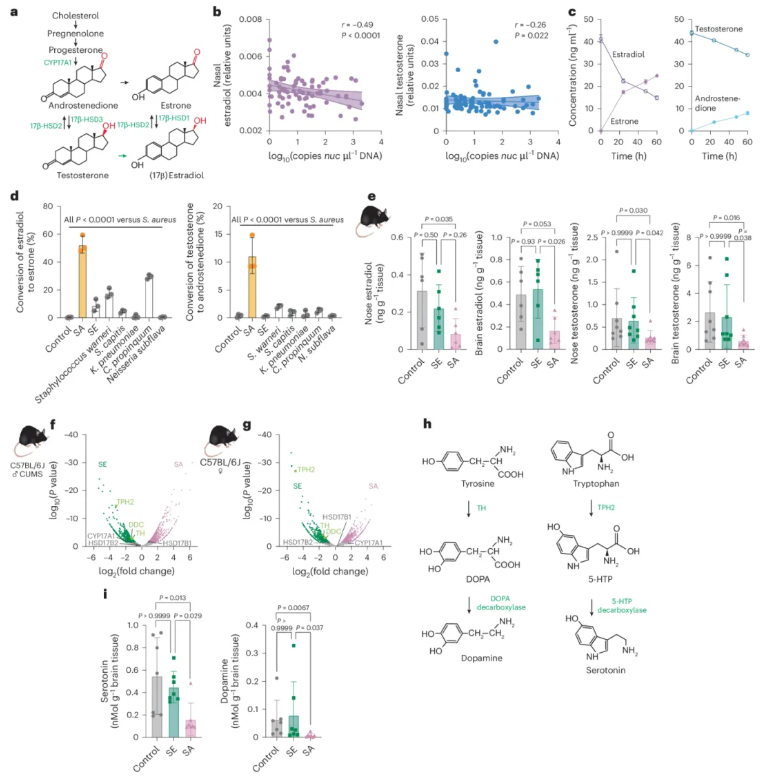 nature子刊 (IF=19.4)|交大医学院附属仁济医院李敏团队:鼻腔金葡菌是抑郁“隐形推手”?hsd12酶紊乱神经递质(图5) nature子刊 (IF=19.4)|交大医学院附属仁济医院李敏团队:鼻腔金葡菌是抑郁“隐形推手”?hsd12酶紊乱神经递质(图5)