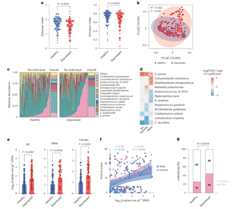 nature子刊 (IF=19.4)|交大医学院附属仁济医院李敏团队:鼻腔金葡菌是抑郁“隐形推手”?hsd12酶紊乱神经递质(图2) nature子刊 (IF=19.4)|交大医学院附属仁济医院李敏团队:鼻腔金葡菌是抑郁“隐形推手”?hsd12酶紊乱神经递质(图2)