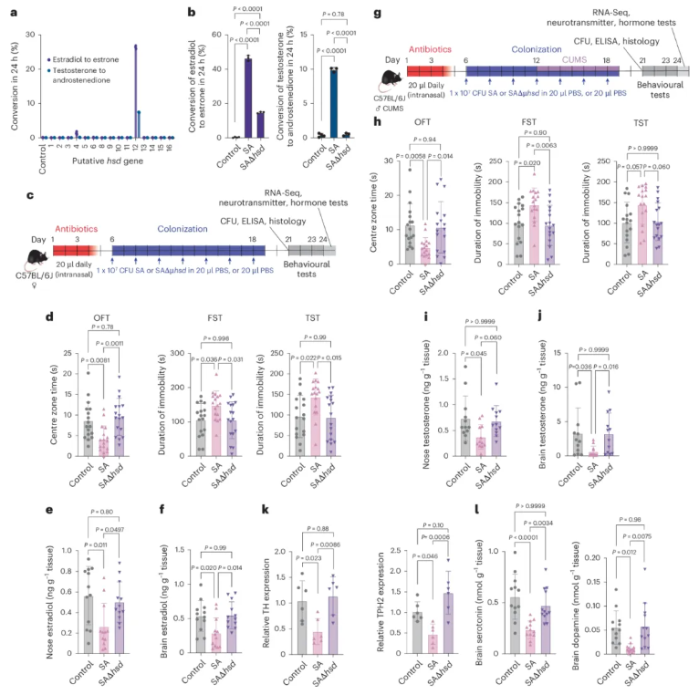nature子刊 (IF=19.4)|交大医学院附属仁济医院李敏团队:鼻腔金葡菌是抑郁“隐形推手”?hsd12酶紊乱神经递质(图6) nature子刊 (IF=19.4)|交大医学院附属仁济医院李敏团队:鼻腔金葡菌是抑郁“隐形推手”?hsd12酶紊乱神经递质(图6)