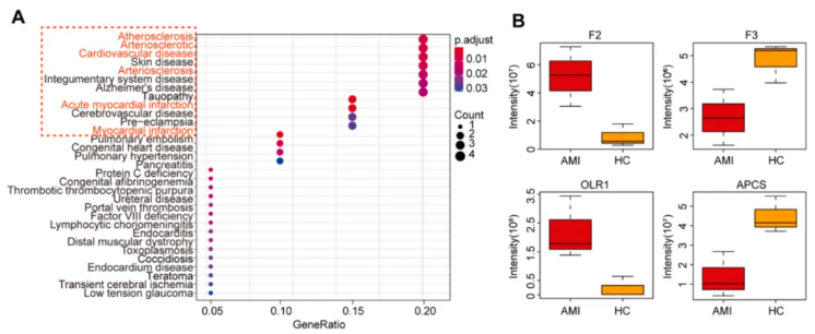 Int J Biol Macromol (IF=8.5)|长江大学第一附属医院毛旭龙团队：外泌体蛋白组学助力AMI无创标志物发现(图6)