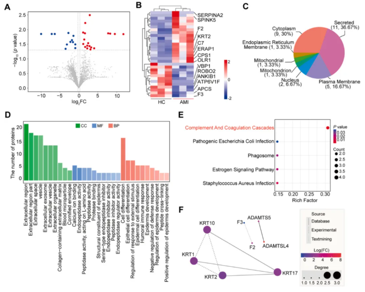 Int J Biol Macromol (IF=8.5)|长江大学第一附属医院毛旭龙团队：外泌体蛋白组学助力AMI无创标志物发现(图5)