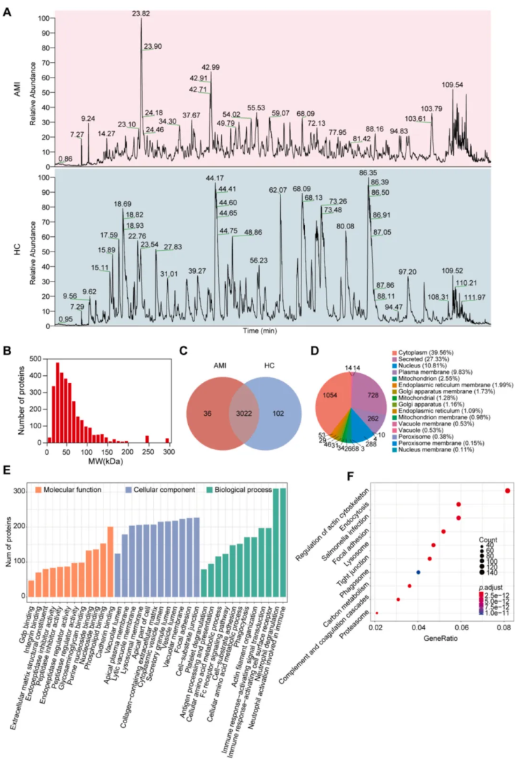 Int J Biol Macromol (IF=8.5)|长江大学第一附属医院毛旭龙团队：外泌体蛋白组学助力AMI无创标志物发现(图4)