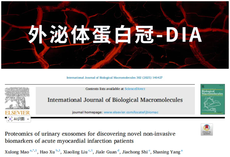Int J Biol Macromol (IF=8.5)|长江大学第一附属医院毛旭龙团队：外泌体蛋白组学助力AMI无创标志物发现(图1)