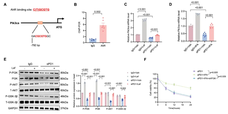 nat commun (IF=15.7)|武大人民医院马振国团队：护心不减效！Lef通过IPA缓解免疫治疗心脏毒性(图9)