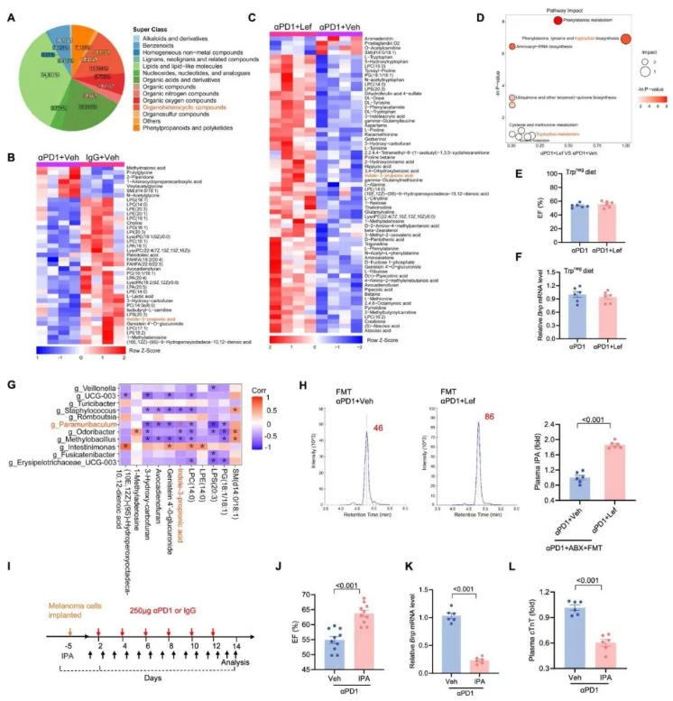 nat commun (IF=15.7)|武大人民医院马振国团队：护心不减效！Lef通过IPA缓解免疫治疗心脏毒性(图7)