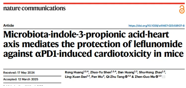 nat commun (IF=15.7)|武大人民医院马振国团队：护心不减效！Lef通过IPA缓解免疫治疗心脏毒性(图1)