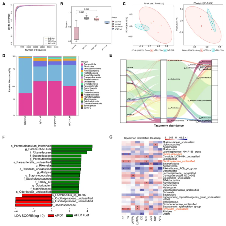 nat commun (IF=15.7)|武大人民医院马振国团队：护心不减效！Lef通过IPA缓解免疫治疗心脏毒性(图6)
