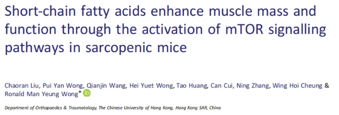 JCSM(IF=9.1)|香港中文大学研究团队：SCFAs激活mTOR通路，为肌少症治疗打开“肠道-肌肉轴”新窗口(图1)