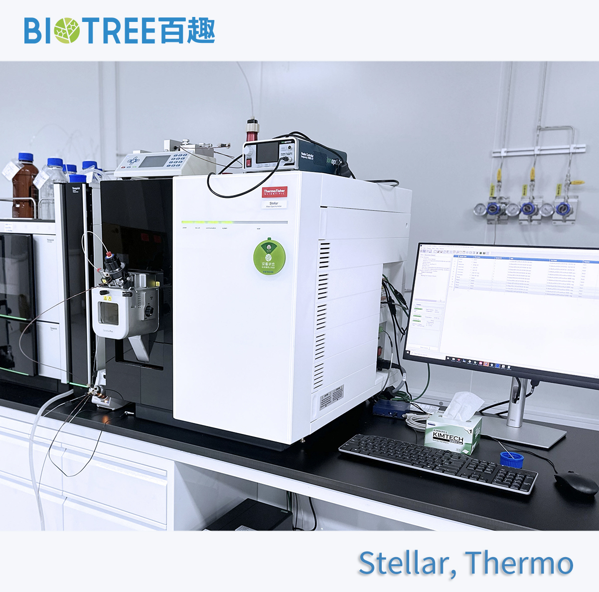 Stellar, Thermo.jpg Stellar, Thermo.jpg