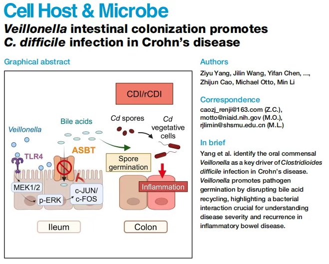 Cell子刊(IF=18.7)|交大医学院附属仁济医院李敏团队：韦荣球菌肠道定植驱动克罗恩病患者艰难梭菌感染(图1)
