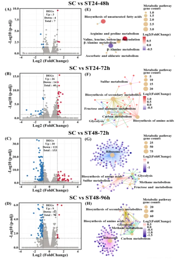 LWT(IF=6.6)|天津科技大学张翠英老师团队破译酵母“对话”密码：新发现三种代谢物，让葡萄酒香气更胜一筹！(图5)
