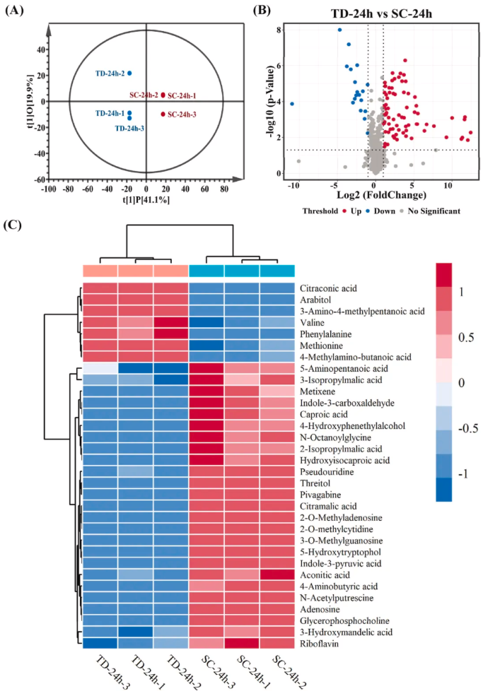 LWT(IF=6.6)|天津科技大学张翠英老师团队破译酵母“对话”密码：新发现三种代谢物，让葡萄酒香气更胜一筹！(图7)