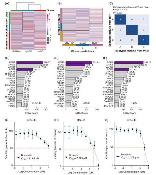 Hepatology(IF=15.8)|中国医学科学院徐平/卢实春团队通过磷酸化蛋白质组学揭示肝癌新亚型并锁定C型治疗新靶点(图8)