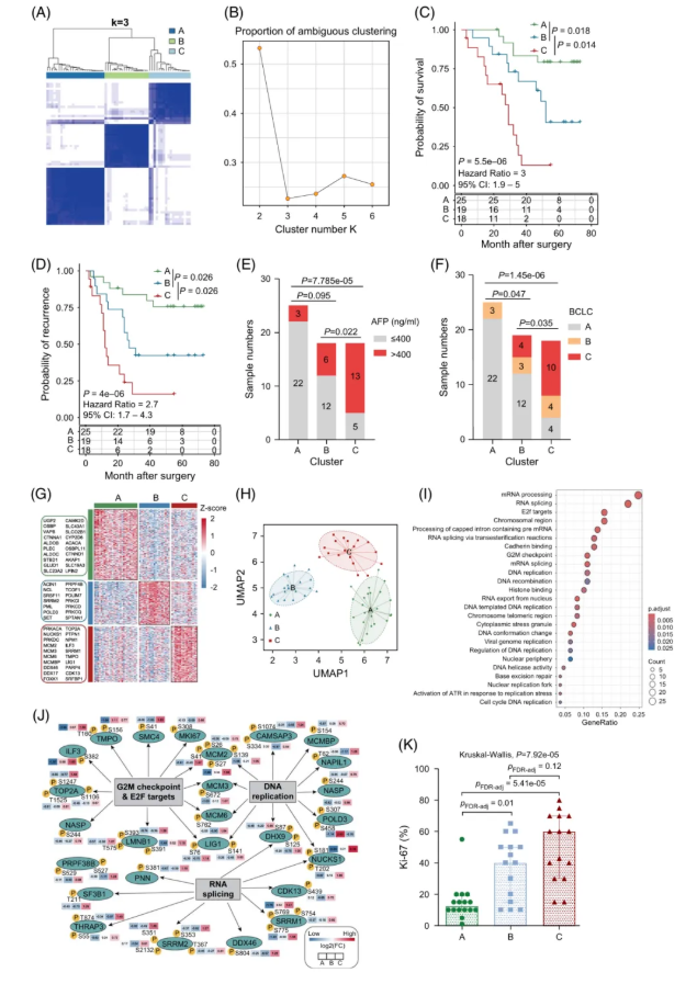 Hepatology(IF=15.8)|中国医学科学院徐平/卢实春团队通过磷酸化蛋白质组学揭示肝癌新亚型并锁定C型治疗新靶点(图3)