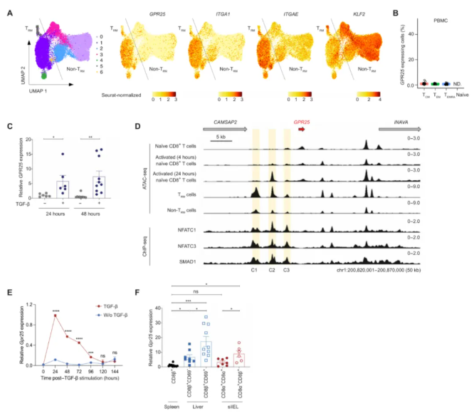 Sci Immunol.(IF=16.3)|单细胞图谱揭秘：GPR25如何塑造肺肝“常驻”T细胞，增强抗肿瘤免疫!(图2)