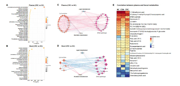 于君教授联合国内多家单位发现结直肠肿瘤的新代谢机制，提出代谢标志物的潜在应用价值(图5)