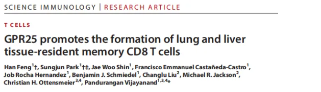 Sci Immunol.(IF=16.3)|单细胞图谱揭秘：GPR25如何塑造肺肝“常驻”T细胞，增强抗肿瘤免疫!(图1)