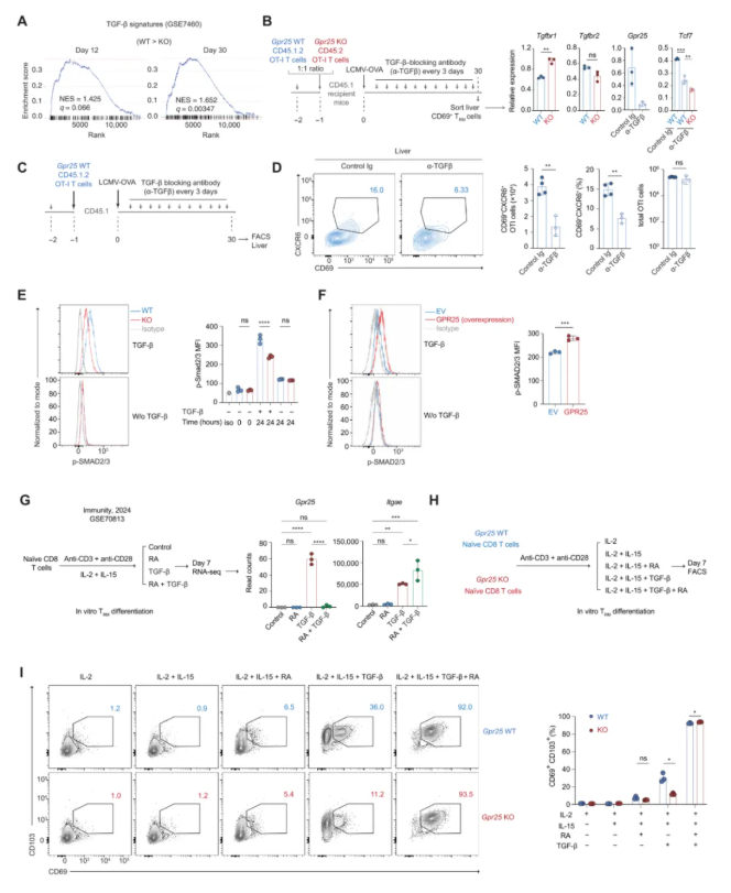 Sci Immunol.(IF=16.3)|单细胞图谱揭秘：GPR25如何塑造肺肝“常驻”T细胞，增强抗肿瘤免疫!(图6)
