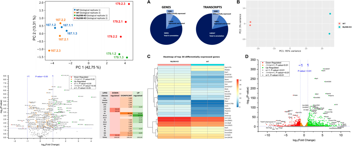 4D脂质组学(图4)