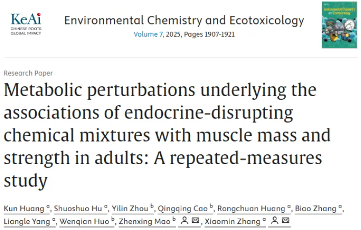 Environ.Chem.Ecotoxicol.(IF=8.2)|华中科技大学张晓敏教授团队：EDC混合物通过代谢扰动影响成人肌肉健康(图1)