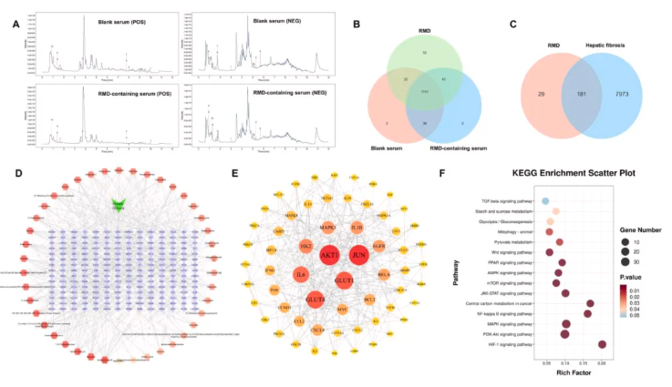 J Ethnopharmacol.|陕西中医药大学史晓燕团队发现：肉牡丹汤可通过抑制糖酵解，阻断肝纤维化进程(图7)