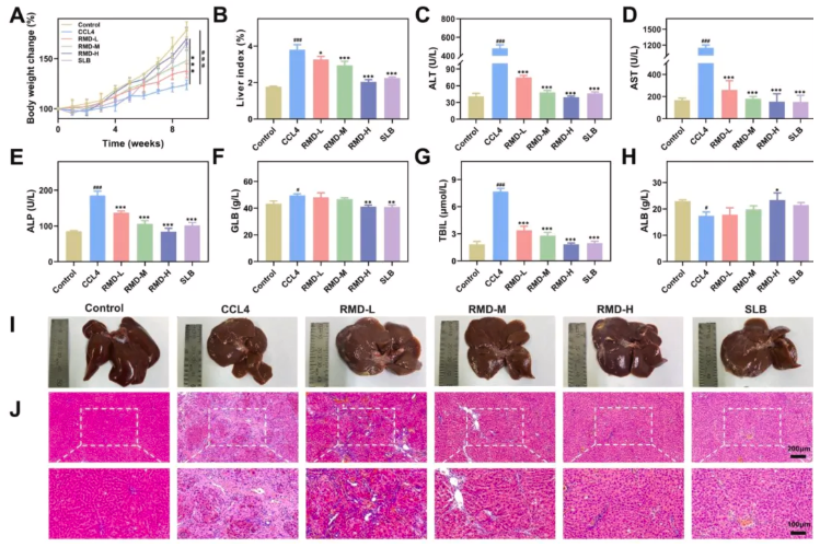J Ethnopharmacol.|陕西中医药大学史晓燕团队发现：肉牡丹汤可通过抑制糖酵解，阻断肝纤维化进程(图3)
