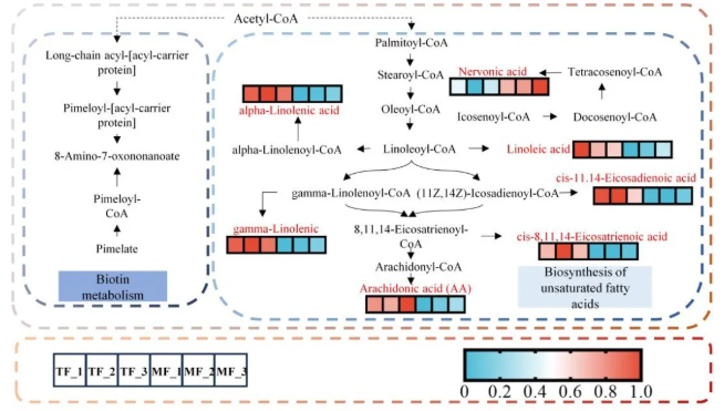 Food Chem.(IF=9.8)|吉林农大研究团队采用代谢组学分析结合DFT计算，解码黑木耳的栽培密码！(图5)