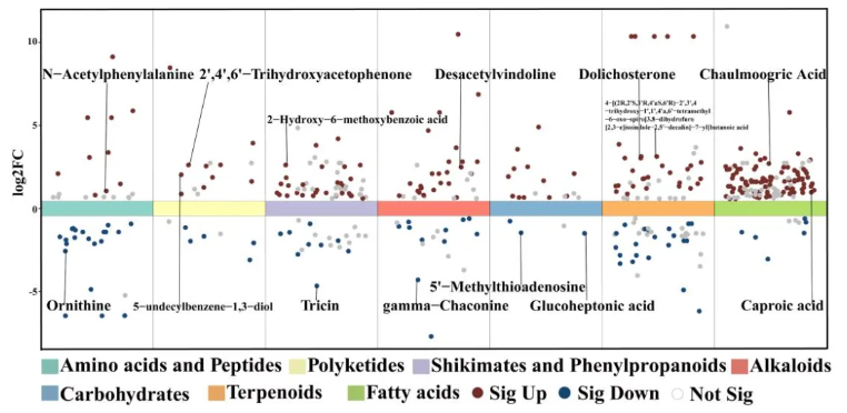 Food Chem.(IF=9.8)|吉林农大研究团队采用代谢组学分析结合DFT计算，解码黑木耳的栽培密码！(图4)