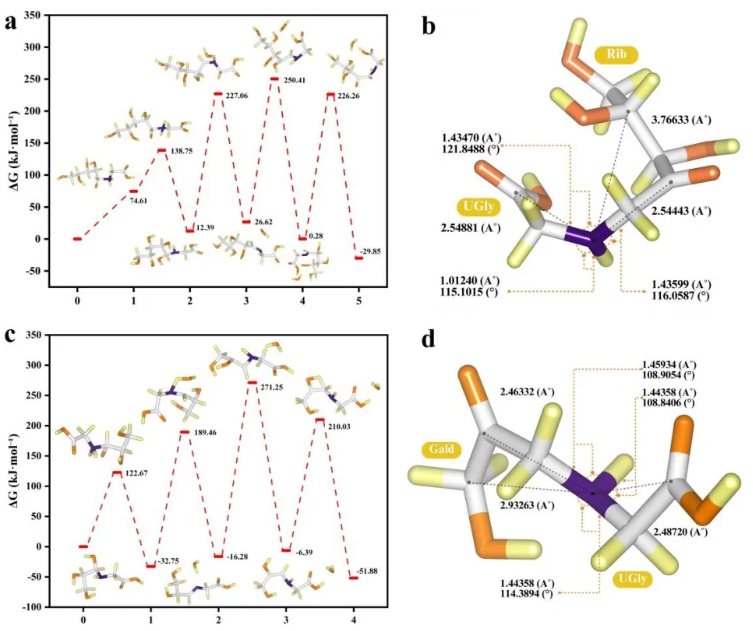 Food Chem.(IF=9.8)|吉林农大研究团队采用代谢组学分析结合DFT计算，解码黑木耳的栽培密码！(图8)