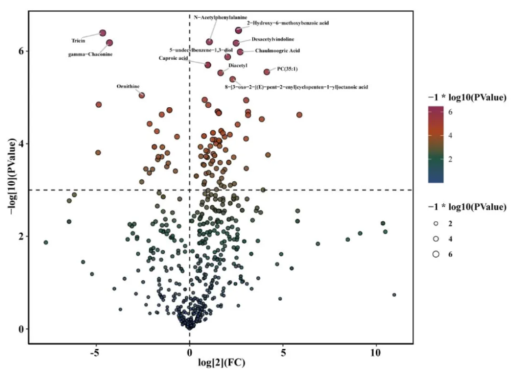 Food Chem.(IF=9.8)|吉林农大研究团队采用代谢组学分析结合DFT计算，解码黑木耳的栽培密码！(图3)